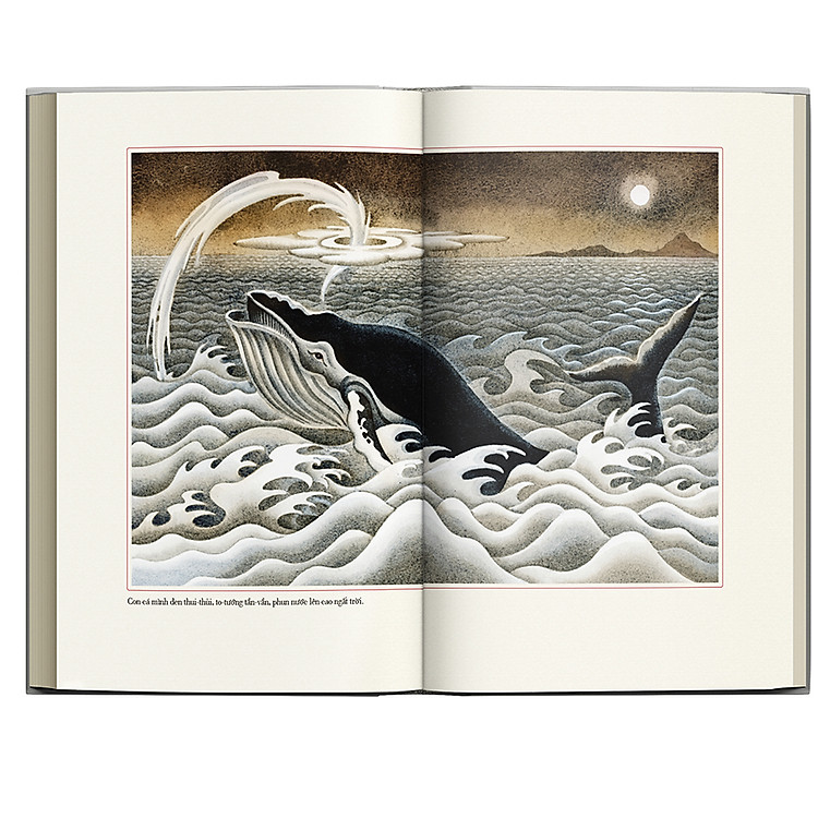 Quả Dưa Đỏ - Ảnh 6