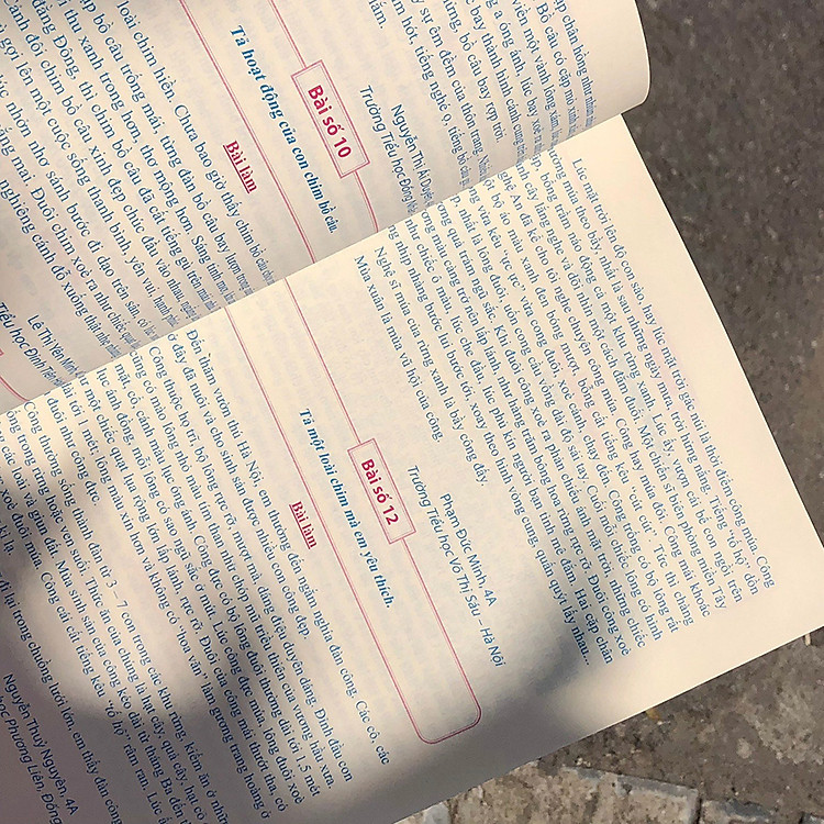 Tuyển Chọn Những Bài Văn Miêu Tả Lớp 4 - Ảnh 3