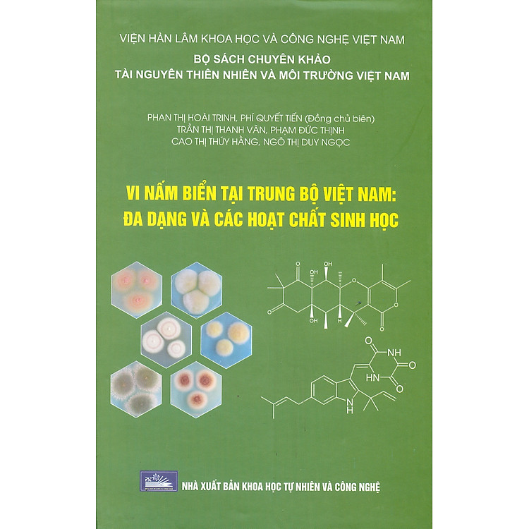 Các Mô Hình Kinh Tế Sinh Thái Cho Phát Triển Bền Vững Khu Vực Tây Nguyên (Bộ Sách Chuyên Khảo Tài Nguyên Thiên Nhiên Và Môi Trường Việt Nam)