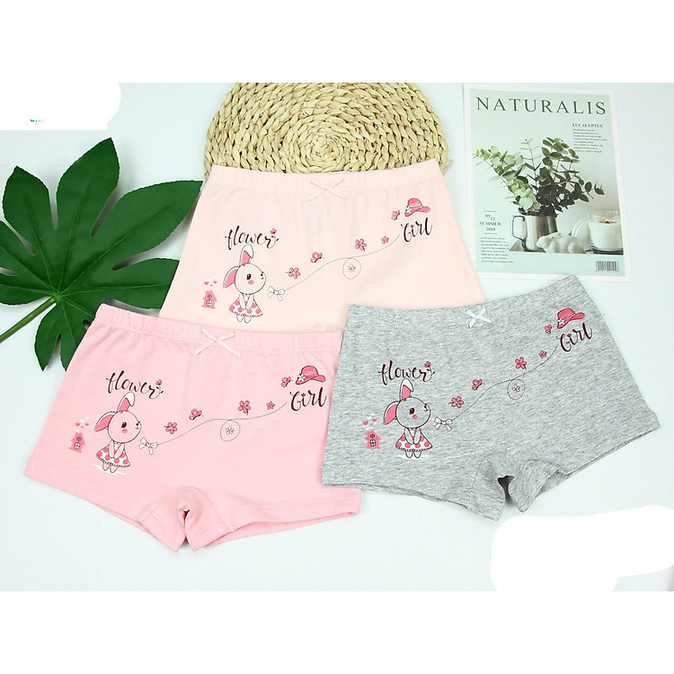 Set 3 quần chíp đùi cao cấp bé gái 2-8 tuổi