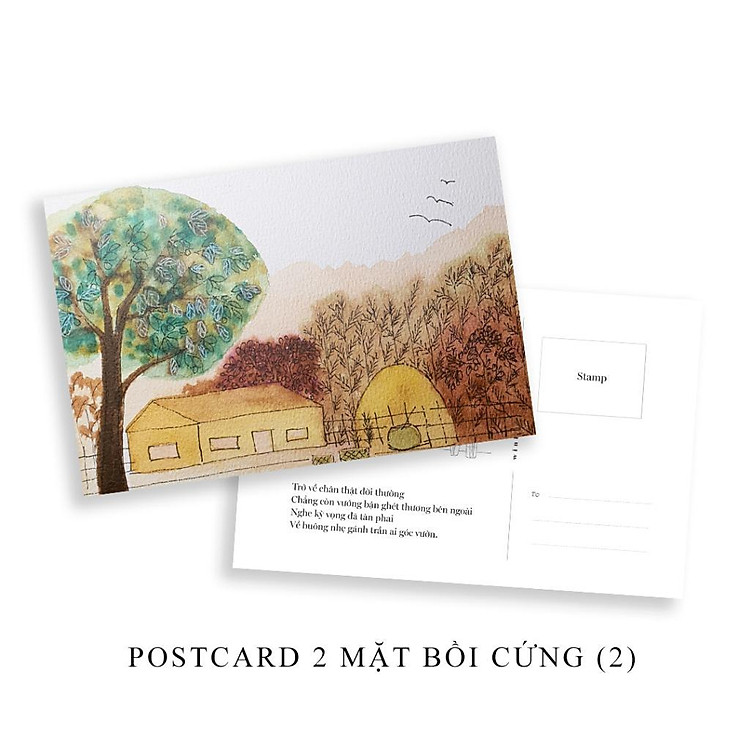 Vườn Tôi Có Cây Lá Bình Yên - Ảnh 4