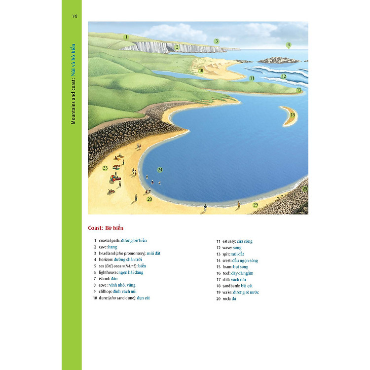 Oxford Advanced Learner's Dictionary 8th with Vietnamese Translation - Ảnh 6