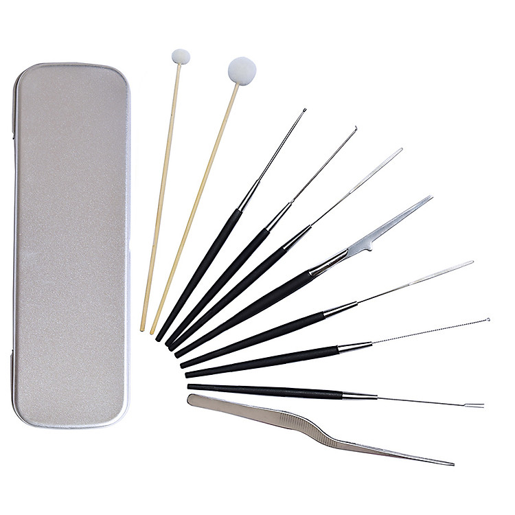 Dụng cụ lấy ráy tai 10 món có hộp đựng kim loại