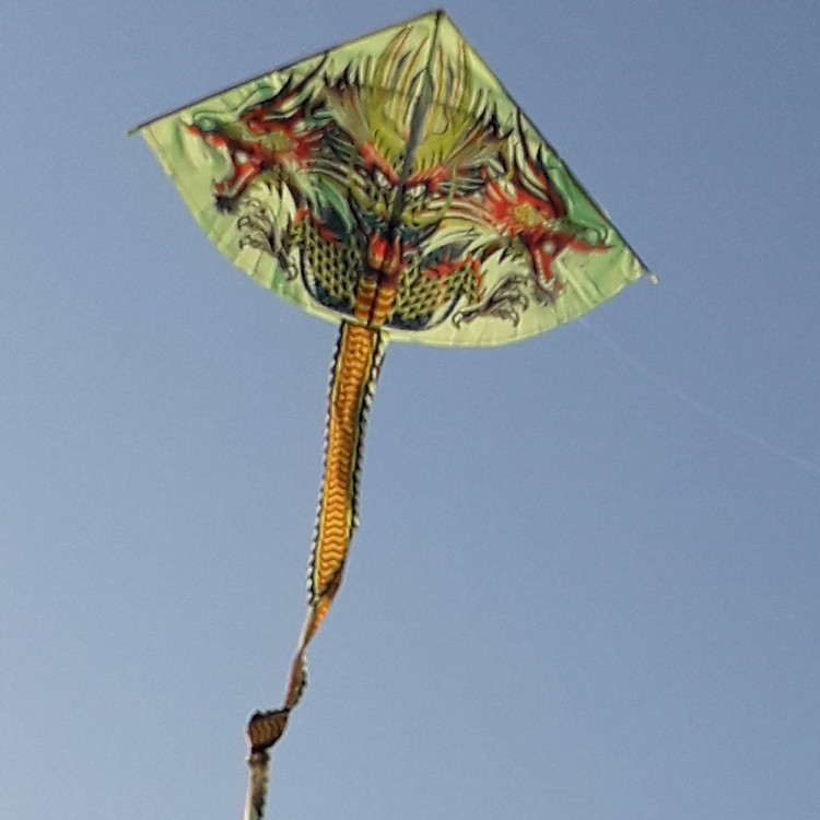 Diều Hình Rồng (Màu Ngẫu Nhiên)