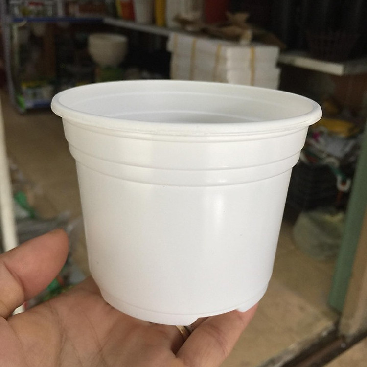50 chậu nhựa mỏng trồng cây 10x8cm màu trắng TTK105T