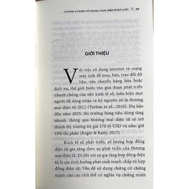 Chứng Cứ Điện Tử Trong Thực Hiện Pháp Luật - Ảnh 5