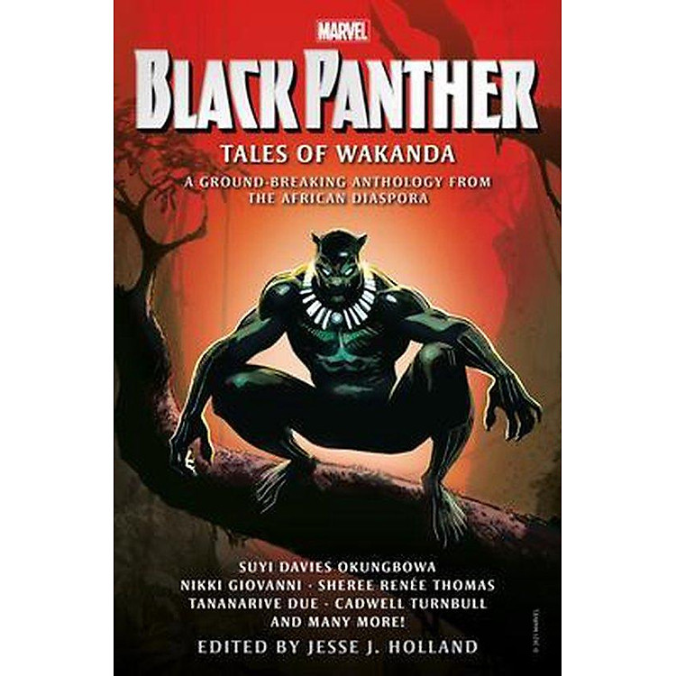 Tiểu thuyết Fantasy: Black Panther: Tales Of Wakanda