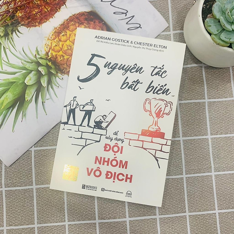 Mua tại Newshop: 5 Nguyên Tắc Bất Biến Để Xây Dựng Đội Nhóm Vô Địch