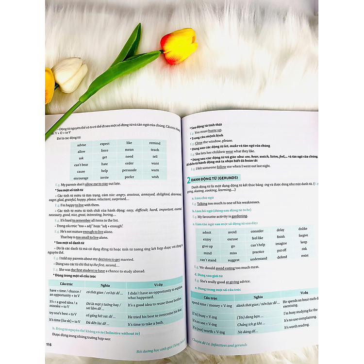 Bồi Dưỡng Học Sinh Giỏi Tiếng Anh 8 - Global Success - Ảnh 5