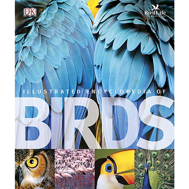 Sách The Illustrated Encyclopedia Of Birds