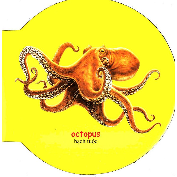 Từ Điển Anh - Việt Bằng Hình: Sea Animals - Ảnh 5