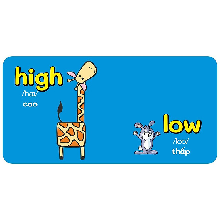 Baby's First Picture Dictionary - Từ Điển Bằng Hình Đầu Tiên Của Bé - Đối Lập - Opposite - Ảnh 3