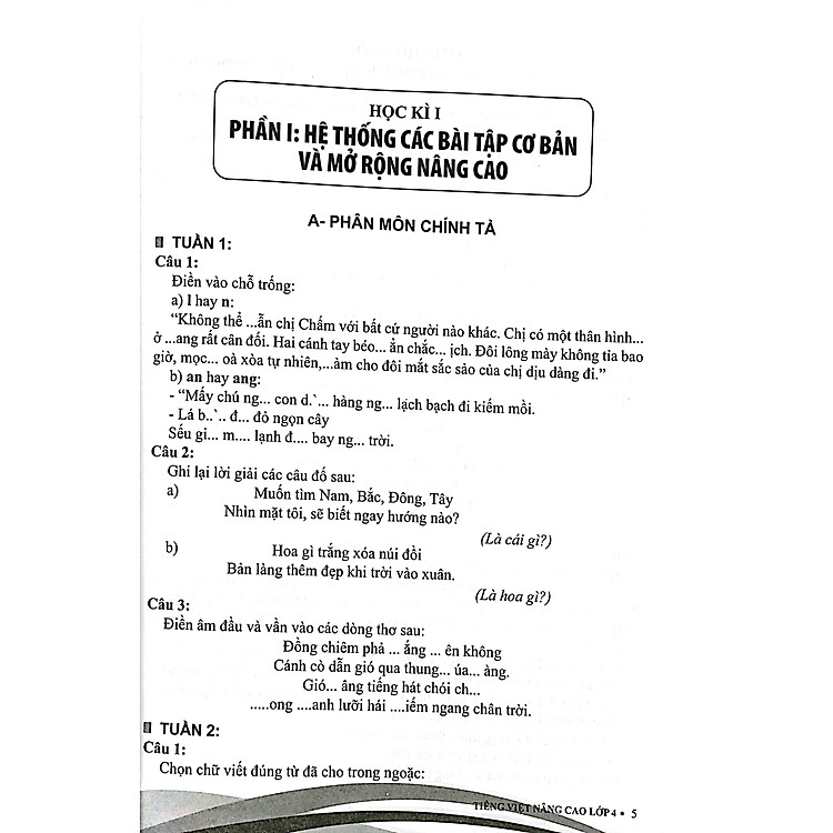 Tiếng Việt Nâng Cao Lớp 4 - Ảnh 5