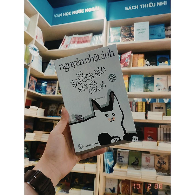 Có Hai Con Mèo Ngồi Bên Cửa Sổ - Ảnh 5