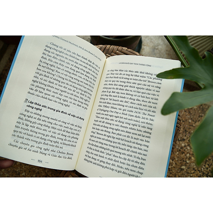 La Bàn Nuôi Dạy Tuổi Teen Thành Công - Ảnh 5