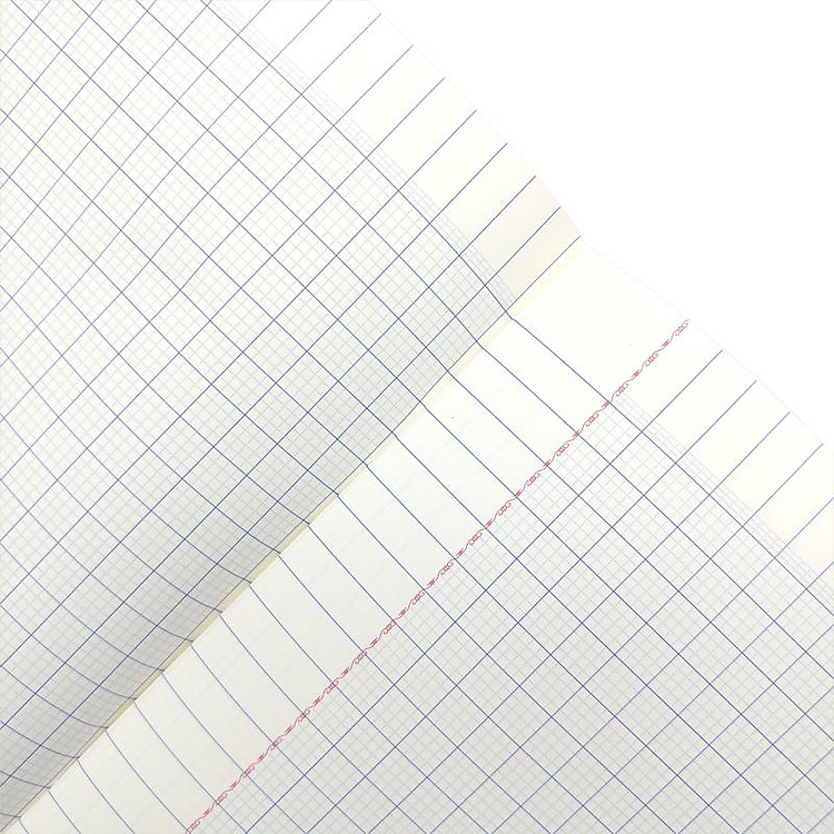 Bộ Tập Học Sinh Happy Cat 4 Ô Ly 96 Trang 80gsm (5 tập) - Ảnh 7