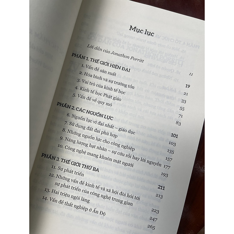 NHỎ LÀ ĐẸP - E. F. Schumacher - Ảnh 2