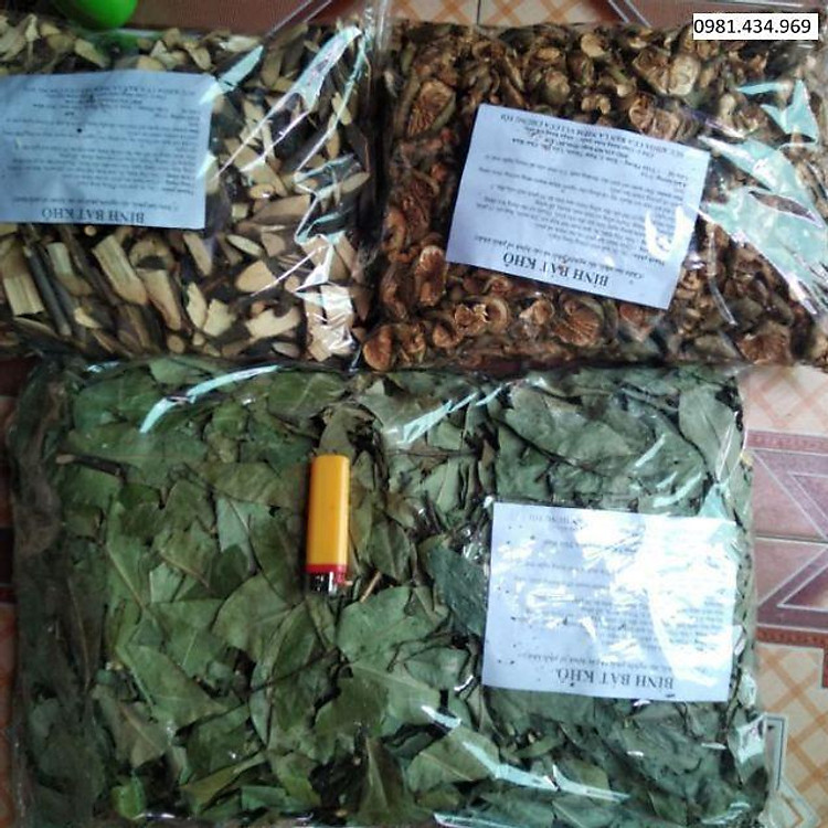 2kg thân + 1kg lá Bình bát khô