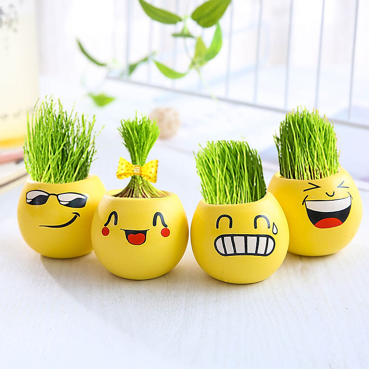 Chậu trồng cây mini hình mặt cười ngộ nghĩnh kèm hạt giống (Giao ngẫu nhiên mặt và hạt giống)