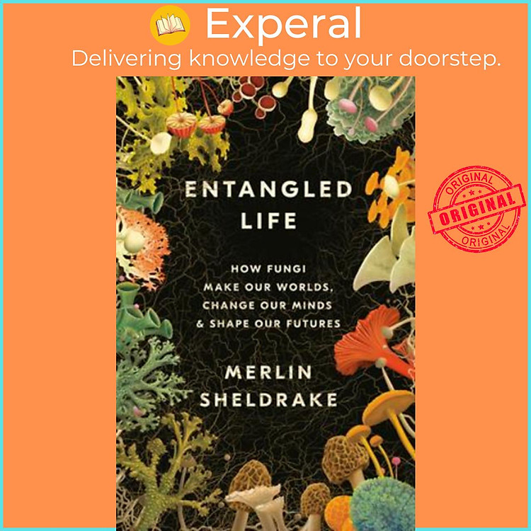 Sách - Entangled Life : How Fungi Make Our Worlds, Change Our Minds & Shape by Merlin Sheldrake (US edition, hardcover)