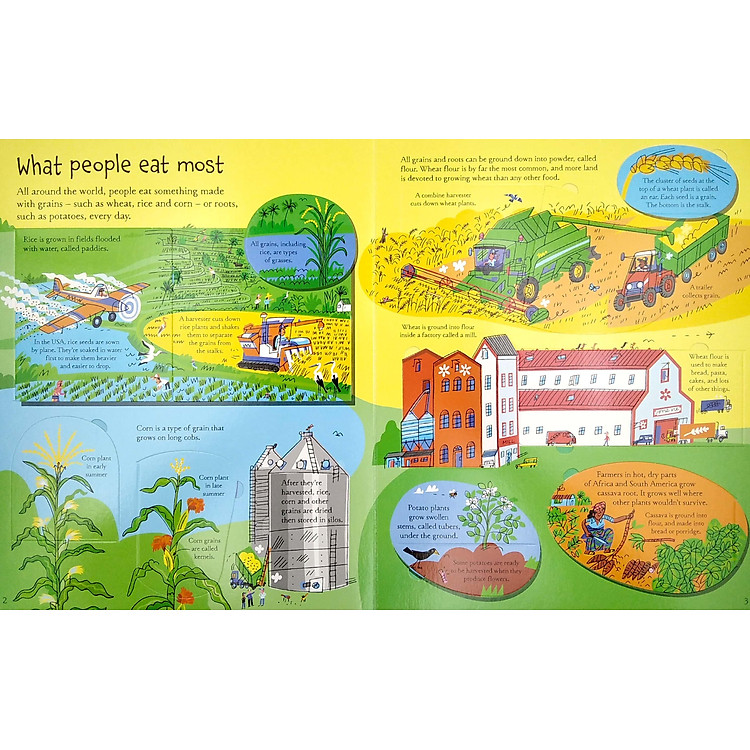 See Inside Where Food Comes From - Ảnh 4