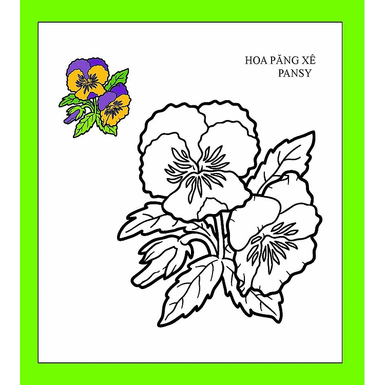 Họa Sĩ Nhí Tô Màu: Hoa - Ảnh 4