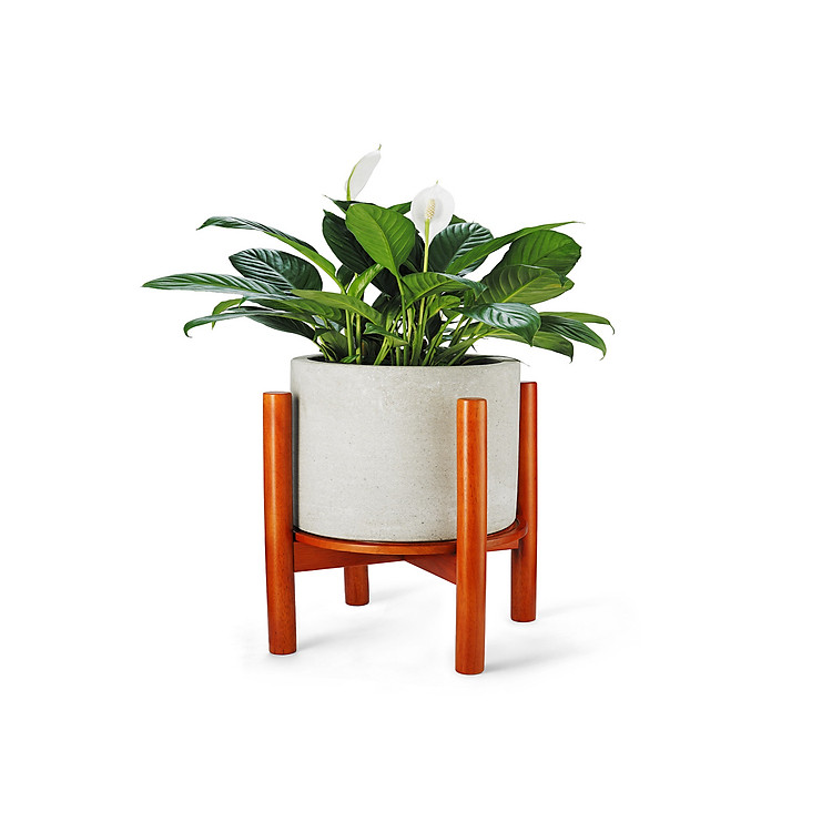 Giá Kệ Đế Đỡ Chậu Hoa - Cao 30,5 cm x Rộng 36 cm - Phù Hợp Chậu Hoa Có Đường Kính Tối Đa 30 cm (Không bao gồm chậu cây)