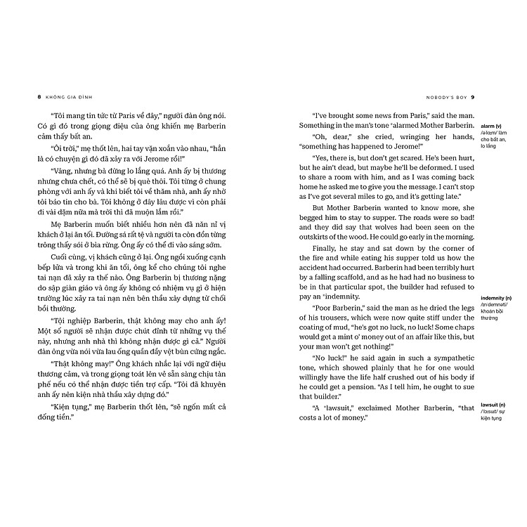 Không Gia Đình - Nobody’s Boy (Tập 1) - Ảnh 7