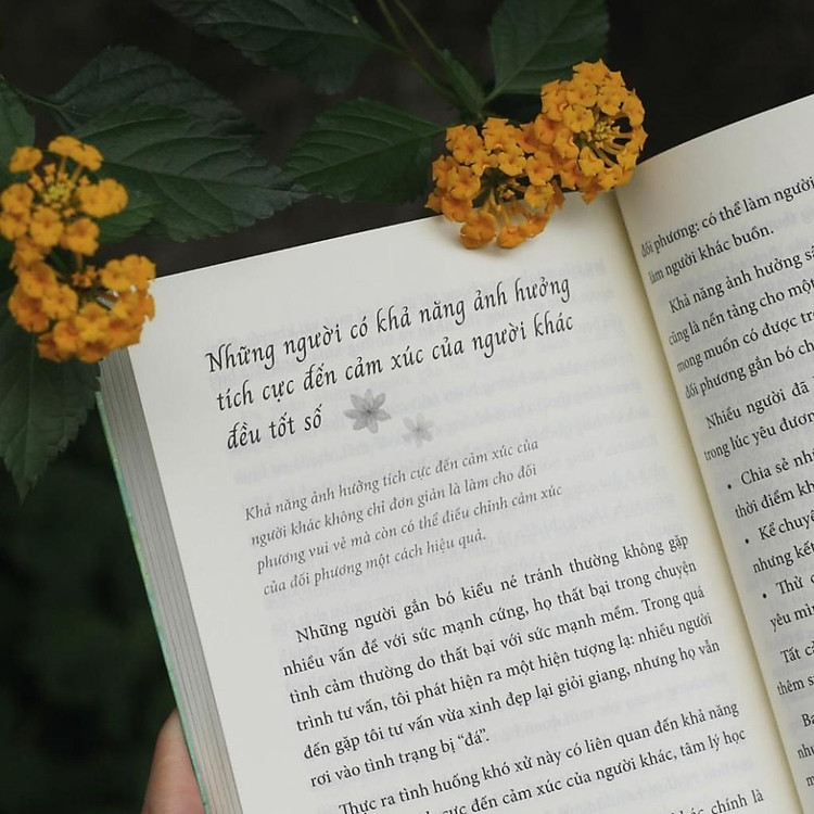 Bạn Có Hiểu Nhầm Về Người Thân Yêu Không? - Ảnh 3