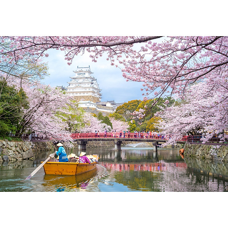 Bộ jigsaw puzzle 330 mảnh - Lâu Đài Himeji Chính hãng Giá tốt - Hình ảnh 2