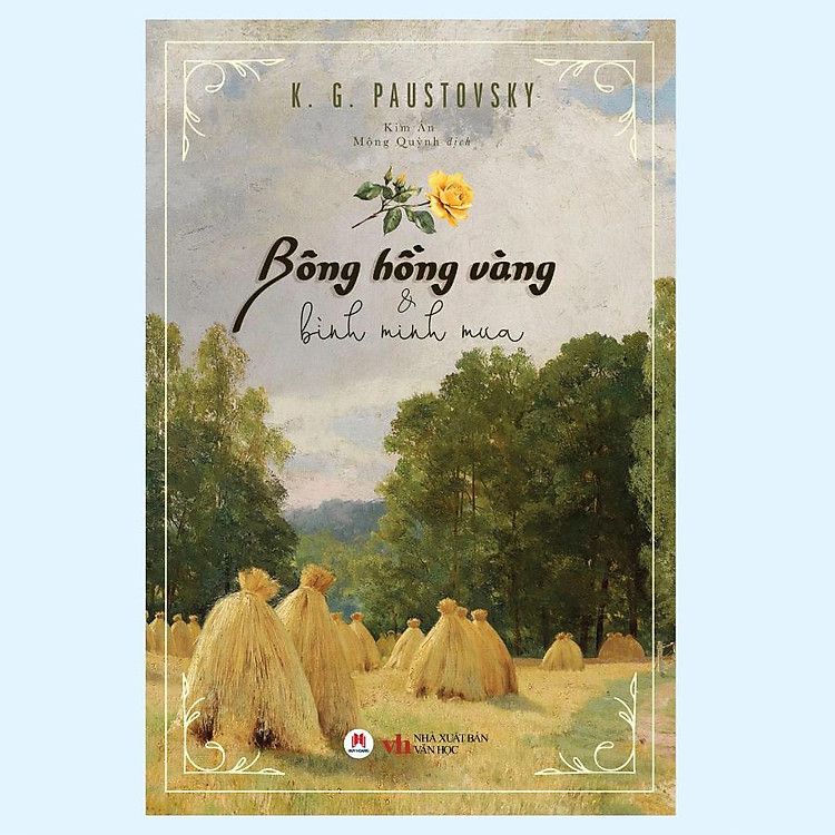 Bông Hồng Vàng Và Bình Minh Mưa