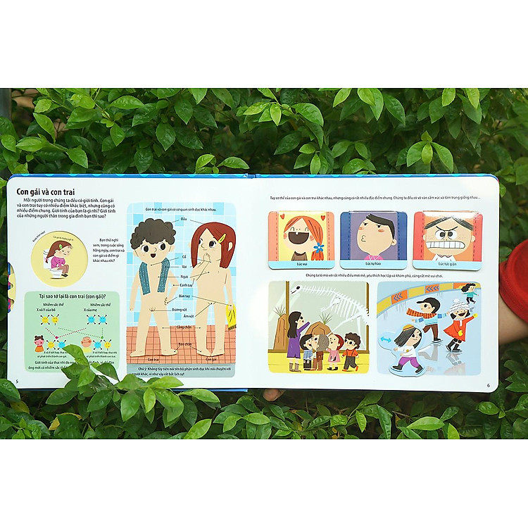 Bách Khoa Kỹ Năng Sống Đa Tương Tác - Những Bài Học Về Giới Tính Giúp Con Trưởng Thành Khỏe Mạnh - Ảnh 4