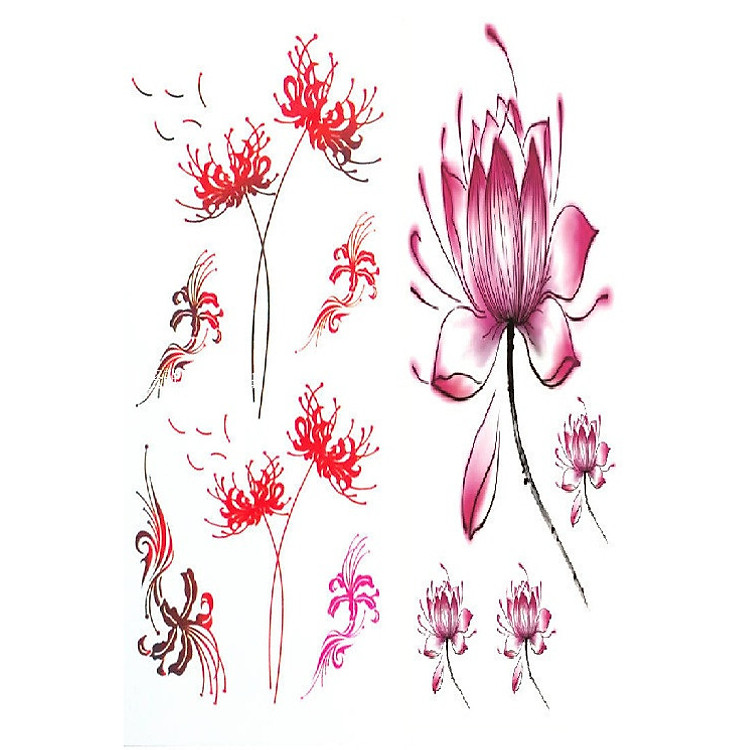 Combo 5 hình xăm dán Hoa Bỉ Ngạn Hoa Sen