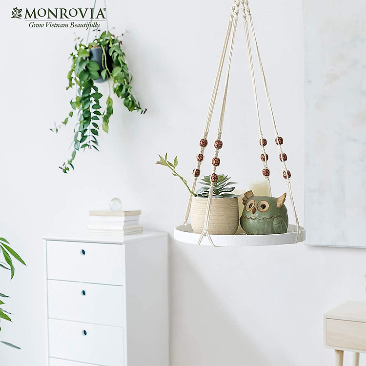 Dây treo Macrame kèm đĩa đựng chậu MONROVIA - Ảnh 4