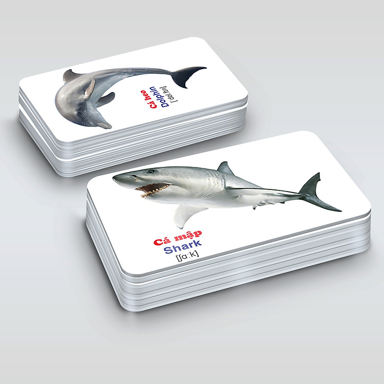 Bộ Thẻ Học Thông Minh - 416 Thẻ Flashcards Tiếng Anh (16 Chủ Đề) - Ảnh 6