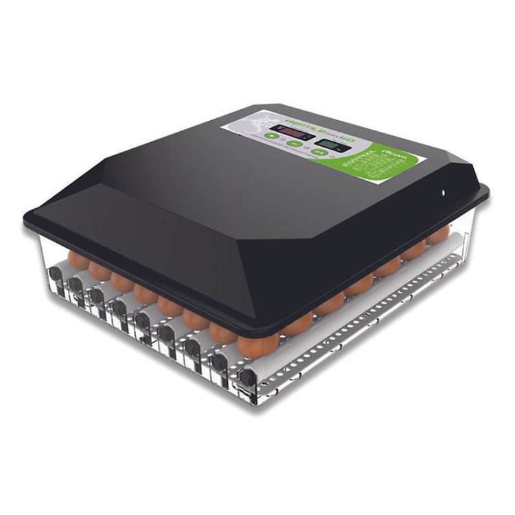 Máy ấp trứng mini 60 trứng - Đảo lăn tự động 360 độ - Lắp đặt hoàn thiện