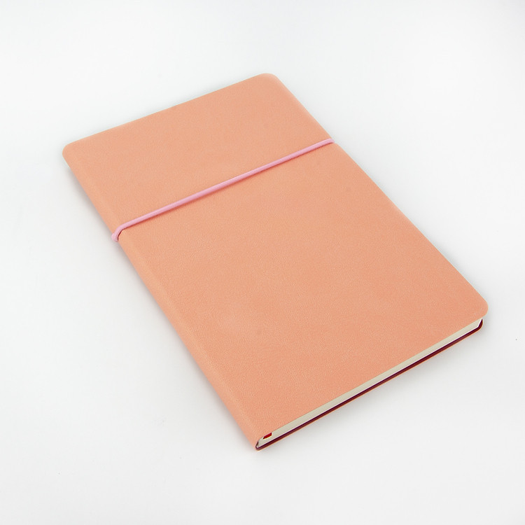 Sổ Tay Dori Size L - Hồng - Ảnh 3