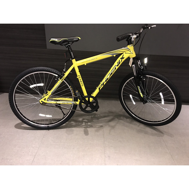 Xe đạp thể thao Phoenix Echo-5.0