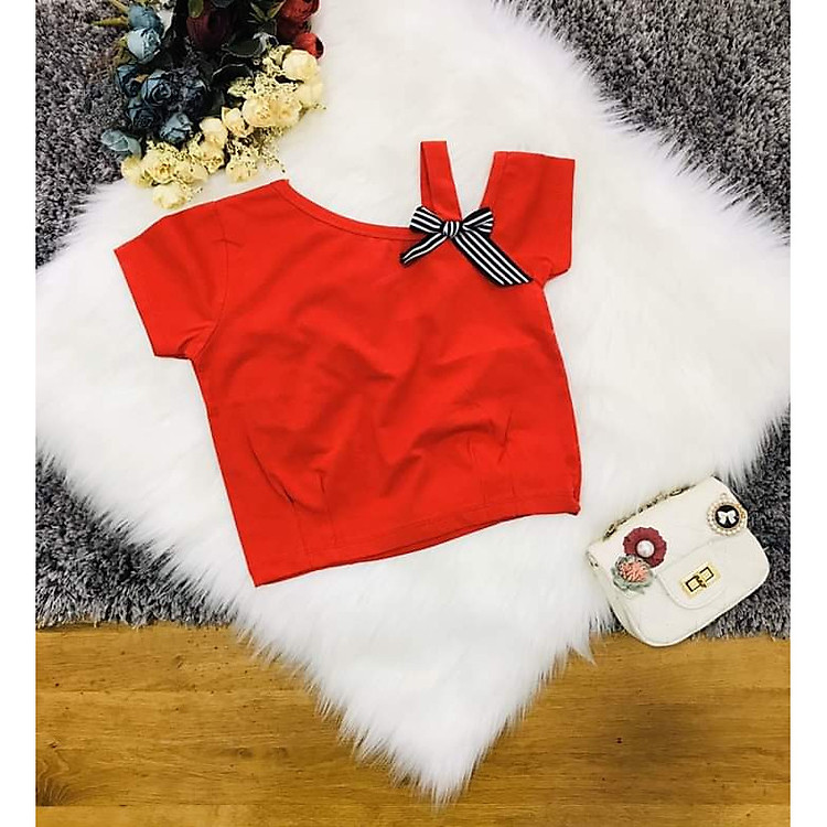 Áo Thun Croptop Bé Gái cho bé từ 8kg đến 23kg ABG02