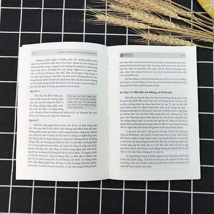 Marketing Du Kích REMIX - Maketing Du Kích Cho Doanh Nghiệp Từ A Đến Z - Ảnh 6