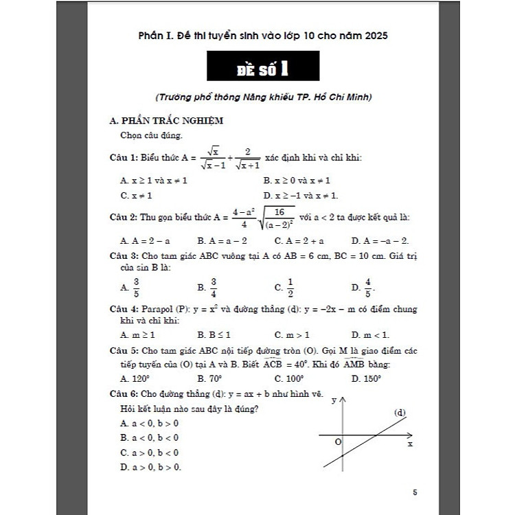 Bộ đề thi vào lớp 10 môn toán (theo đề minh họa của Sở GD&ĐT TP. Hồ Chí Minh) - Ảnh 6