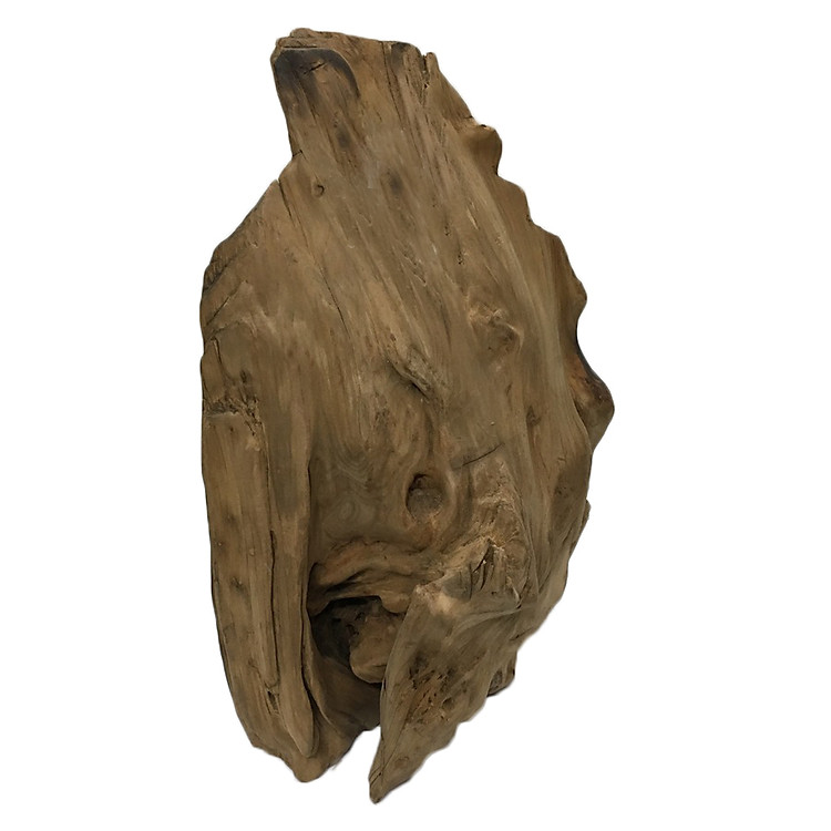 Gỗ lũa ngọc am tự nhiên phong thủy Mã 55 (39cm x 25cm)