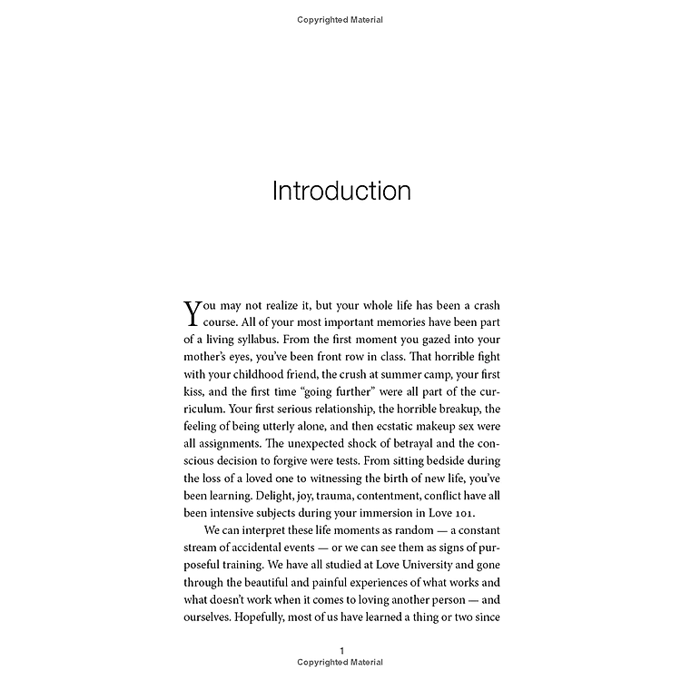 Holy Love: The Essential Guide To Soul-Fulfilling Relationships - Ảnh 2