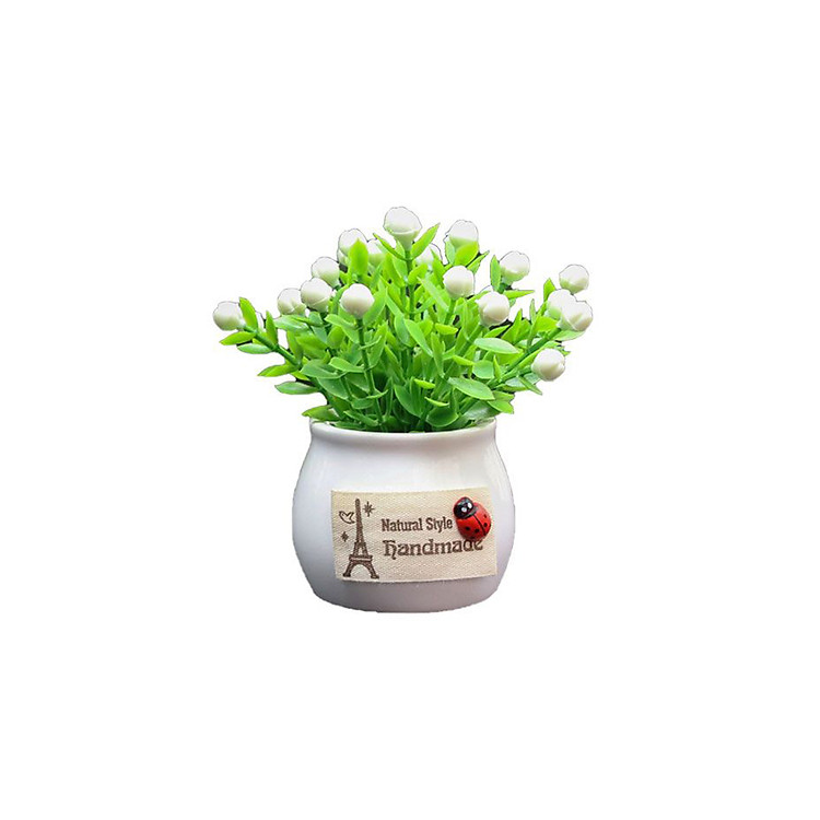 Chậu cây trang trí trong xe ô tô - Lẻ