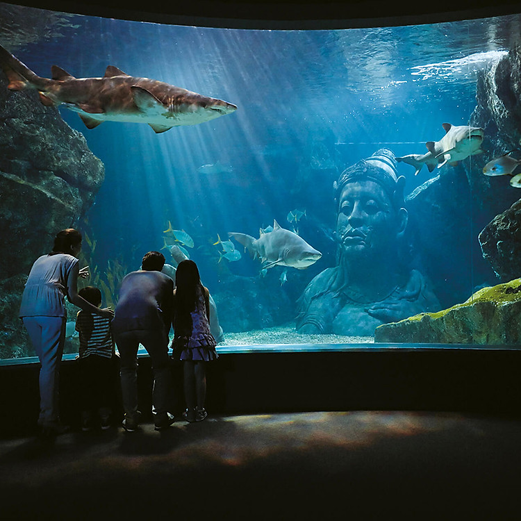 Vé Sea Life Bangkok Ocean World (thủy cung + xem show) -Trẻ em 3-11 tuổi