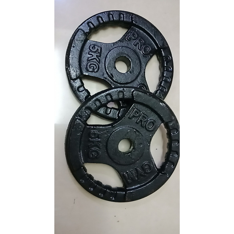 Tạ Đĩa Gang - 3 Lỗ (Phuy 27) 5KG / 2 Miếng
