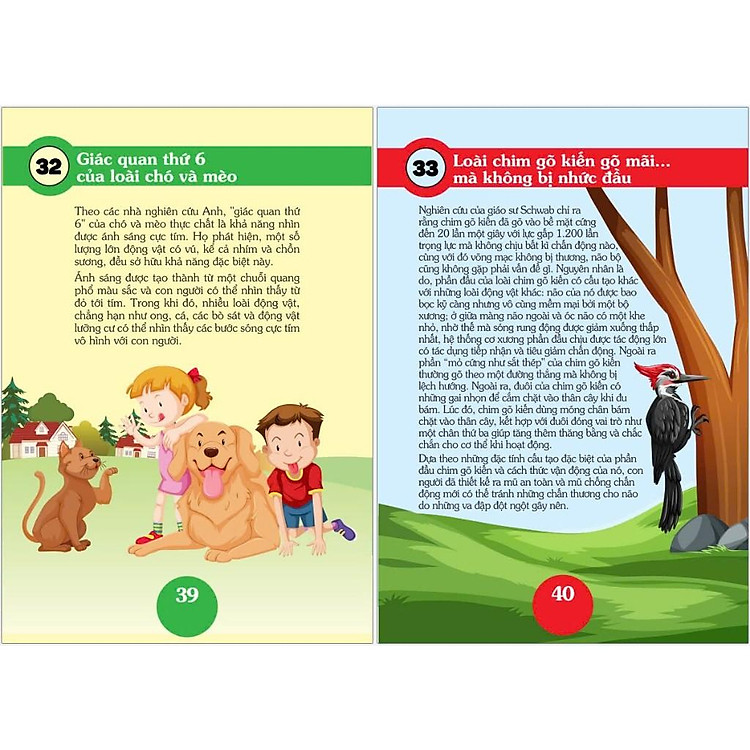 Bách Khoa - 101 Bí Ẩn Thú Vị - Động Vật - Ảnh 3