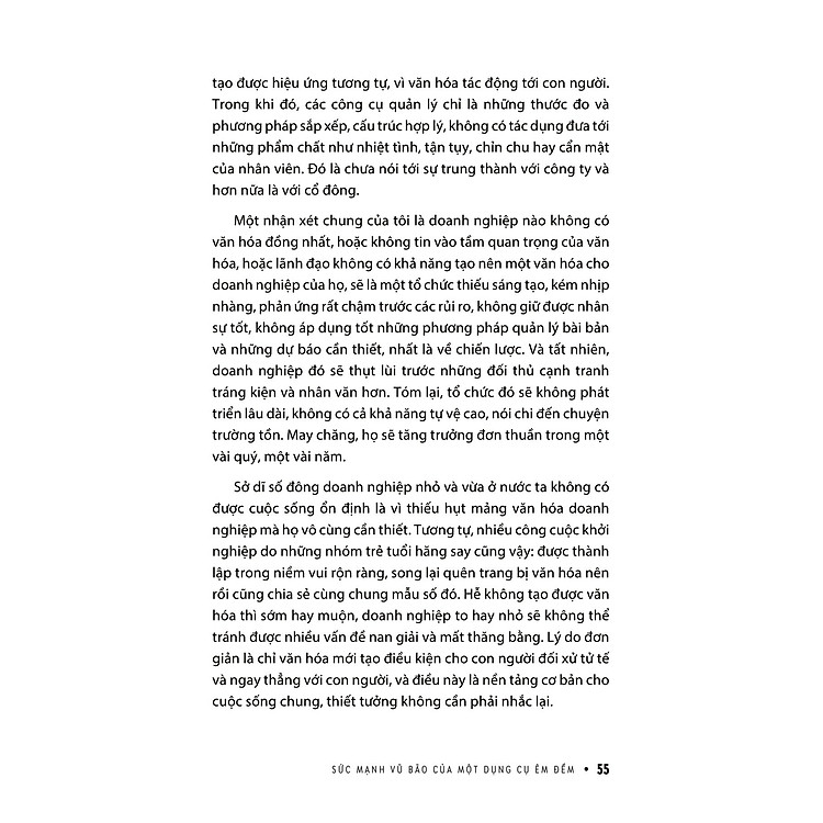 Cơn Lốc Quản Trị - Ba Trụ Cột Của Văn Hóa Doanh Nghiệp (Phan Văn Trường - mới 2023) - Ảnh 6
