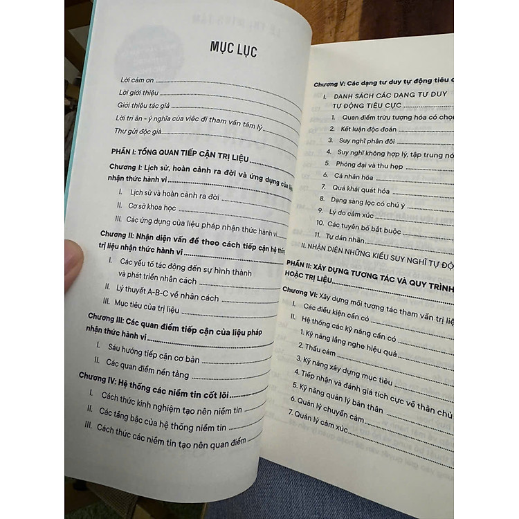 TIẾP CẬN TRỊ LIỆU NHẬN THỨC HÀNH VI – Lê Thị Minh Tâm - Ảnh 3