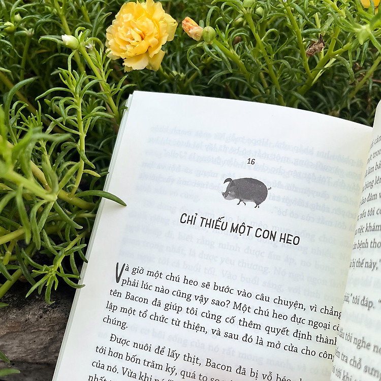 Nông trại Ngộ nghĩnh: Cuộc sống đầy bất ngờ của tôi với 600 con vật giải cứu - Ảnh 5